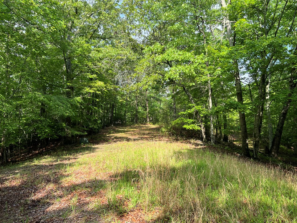 395 Able Road Property Photo 7