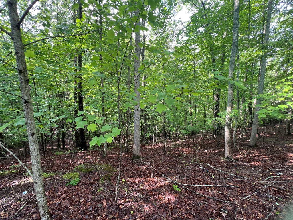 395 Able Road Property Photo 8