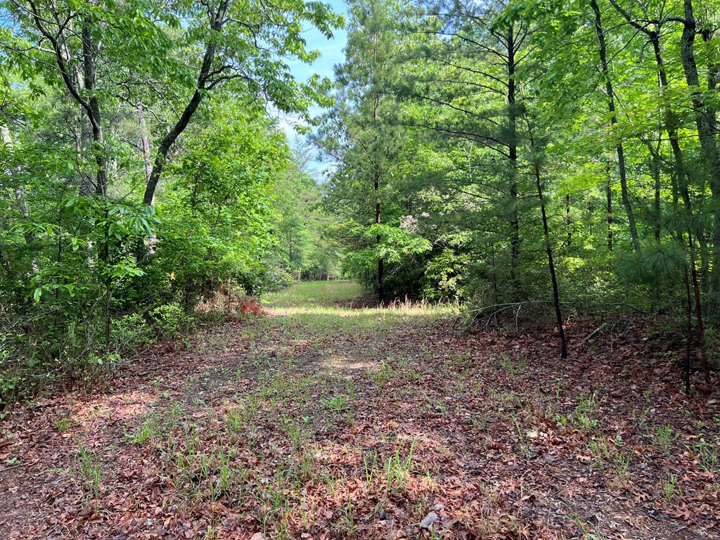 395 Able Road Property Photo 11