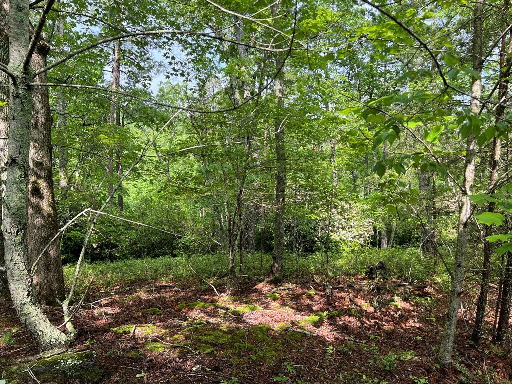 395 Able Road Property Photo 13