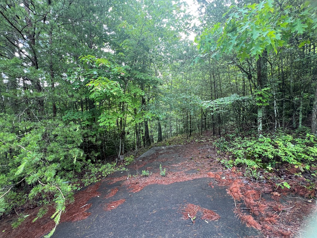 395 Able Road Property Photo 15