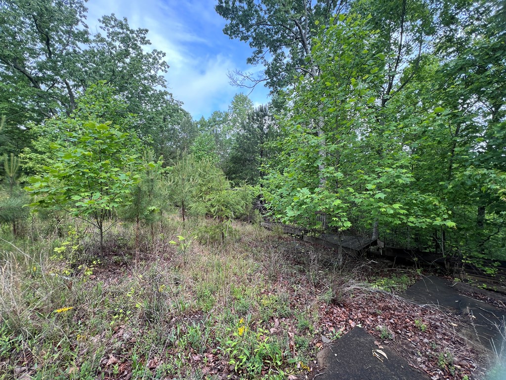 395 Able Road Property Photo 16