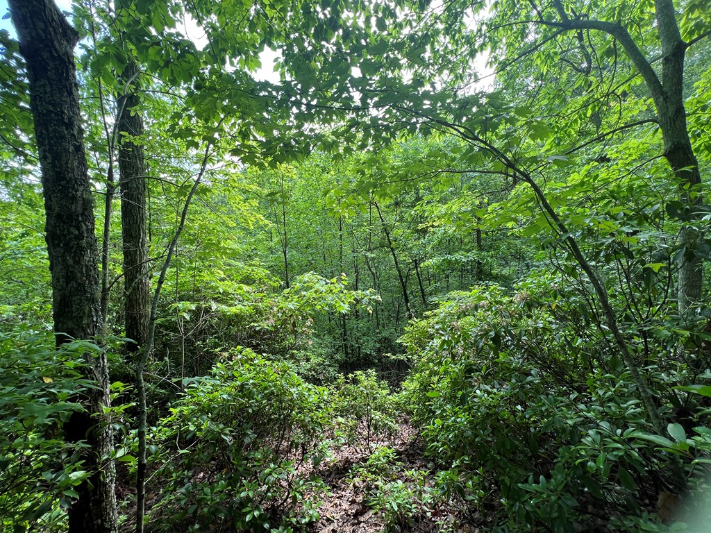 395 Able Road Property Photo 17
