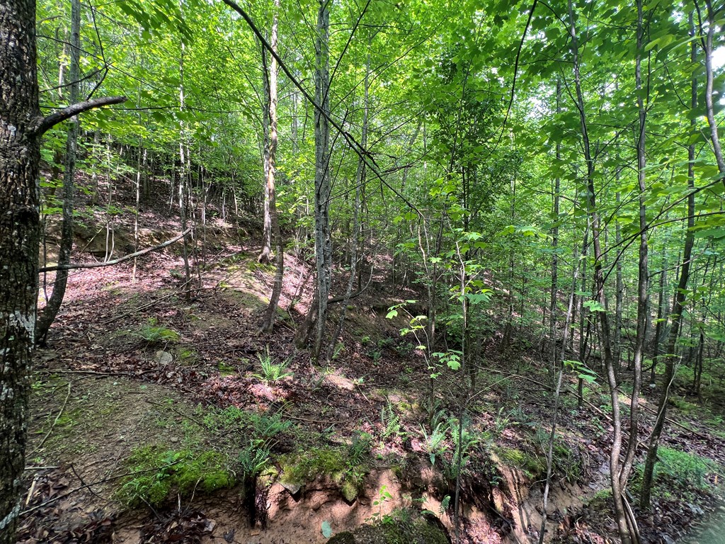 395 Able Road Property Photo 18