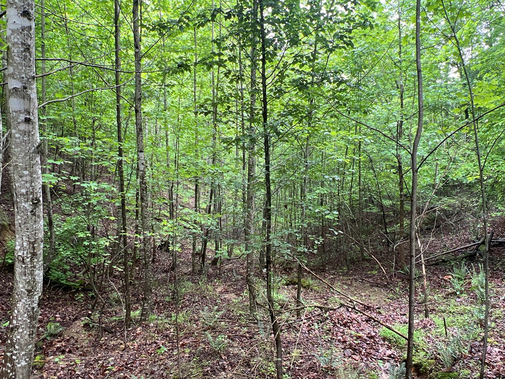 395 Able Road Property Photo 19