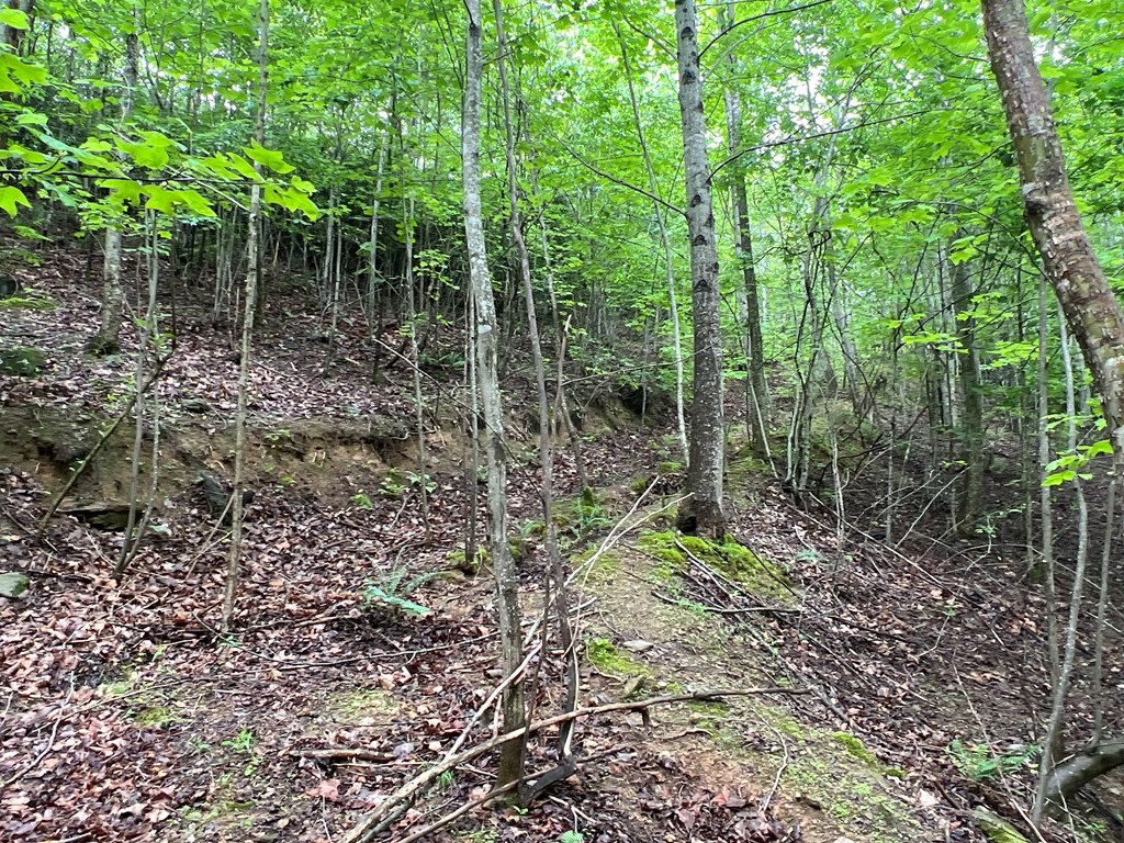 395 Able Road Property Photo 20