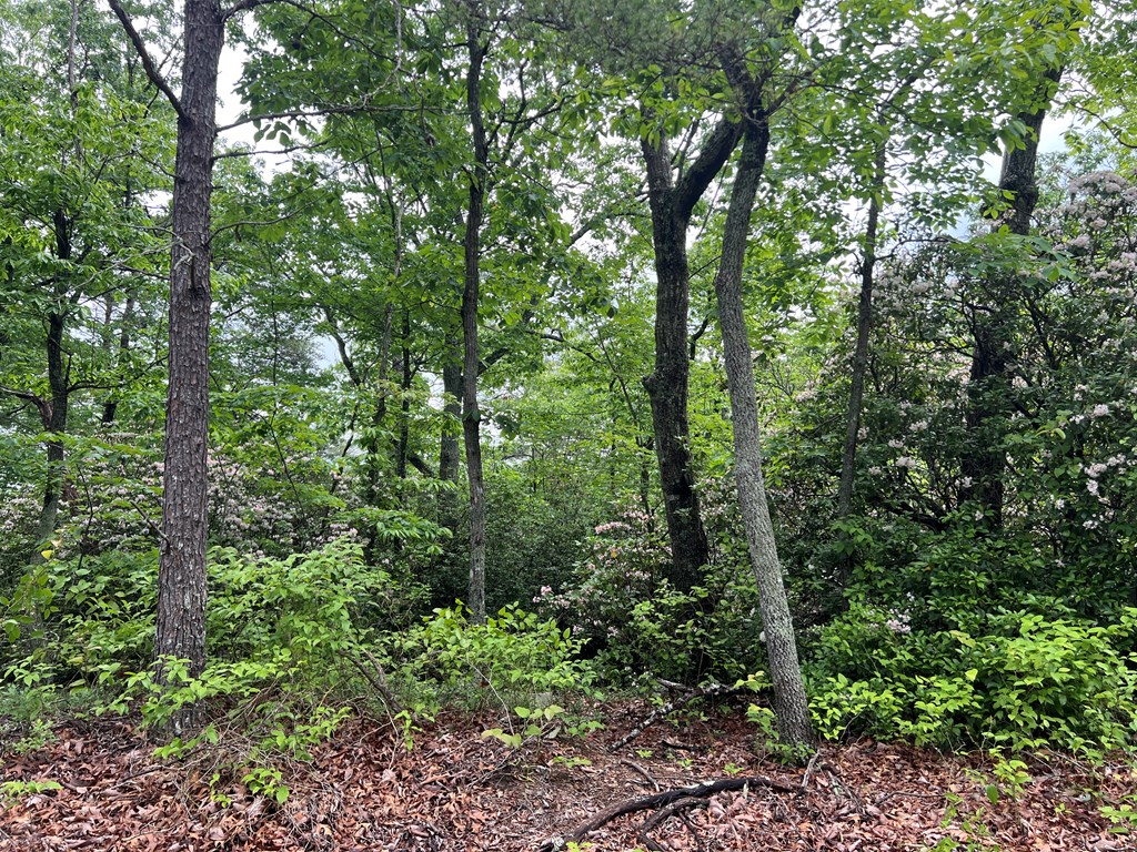 395 Able Road Property Photo 23
