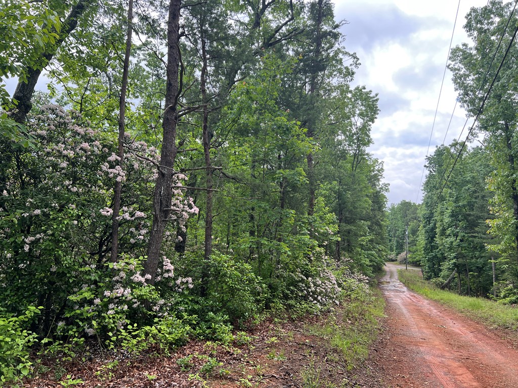 395 Able Road Property Photo 24