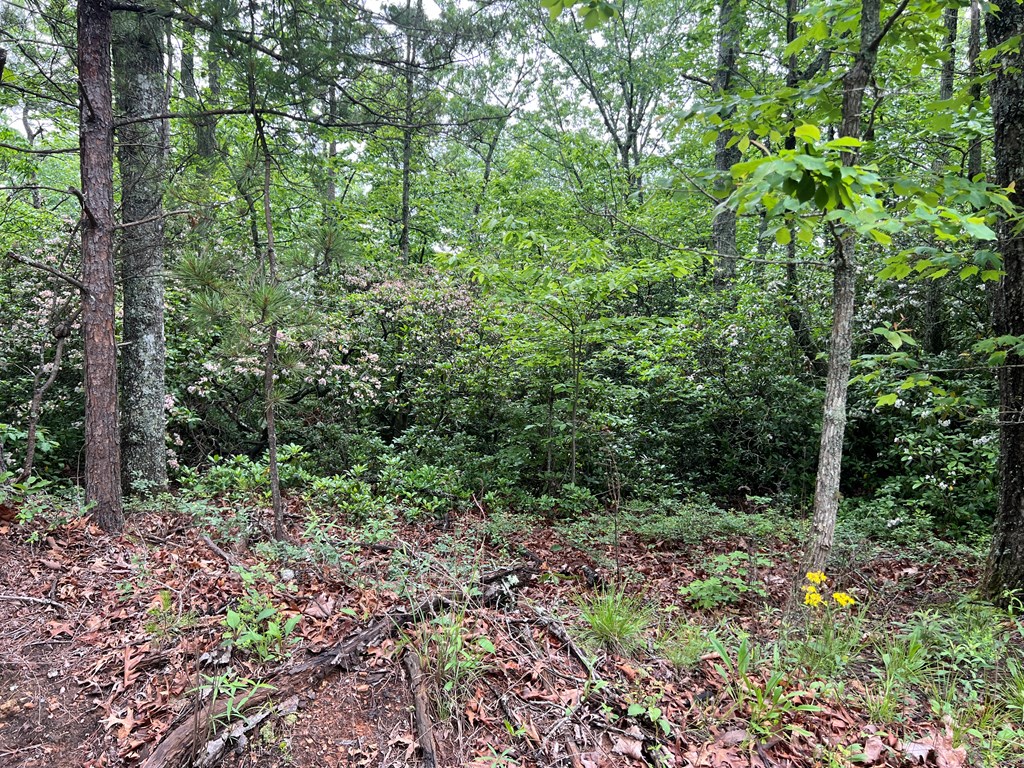 395 Able Road Property Photo 25