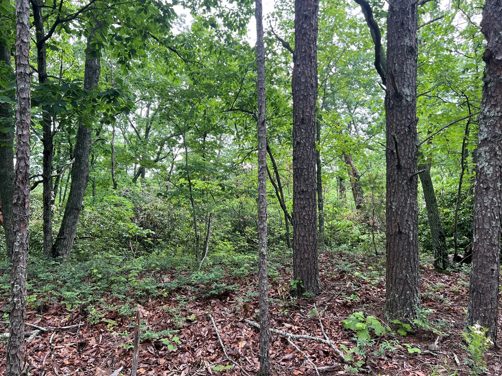 395 Able Road Property Photo 26
