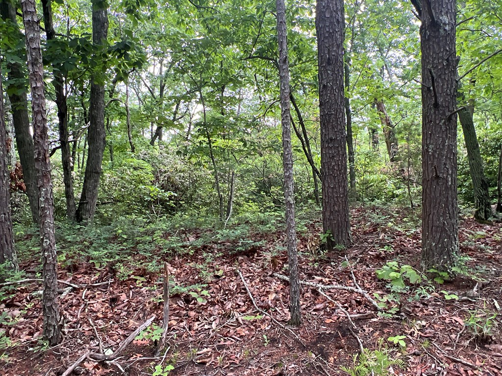 395 Able Road Property Photo 27