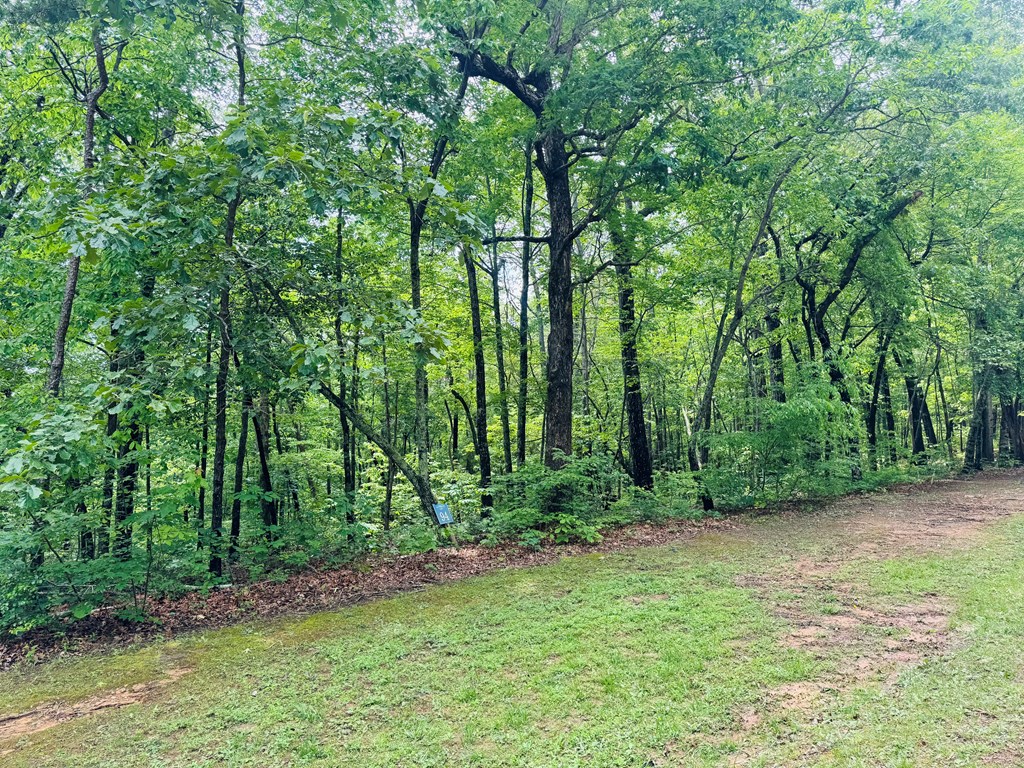 Lot 94 Doll Mountain Road Property Photo 2
