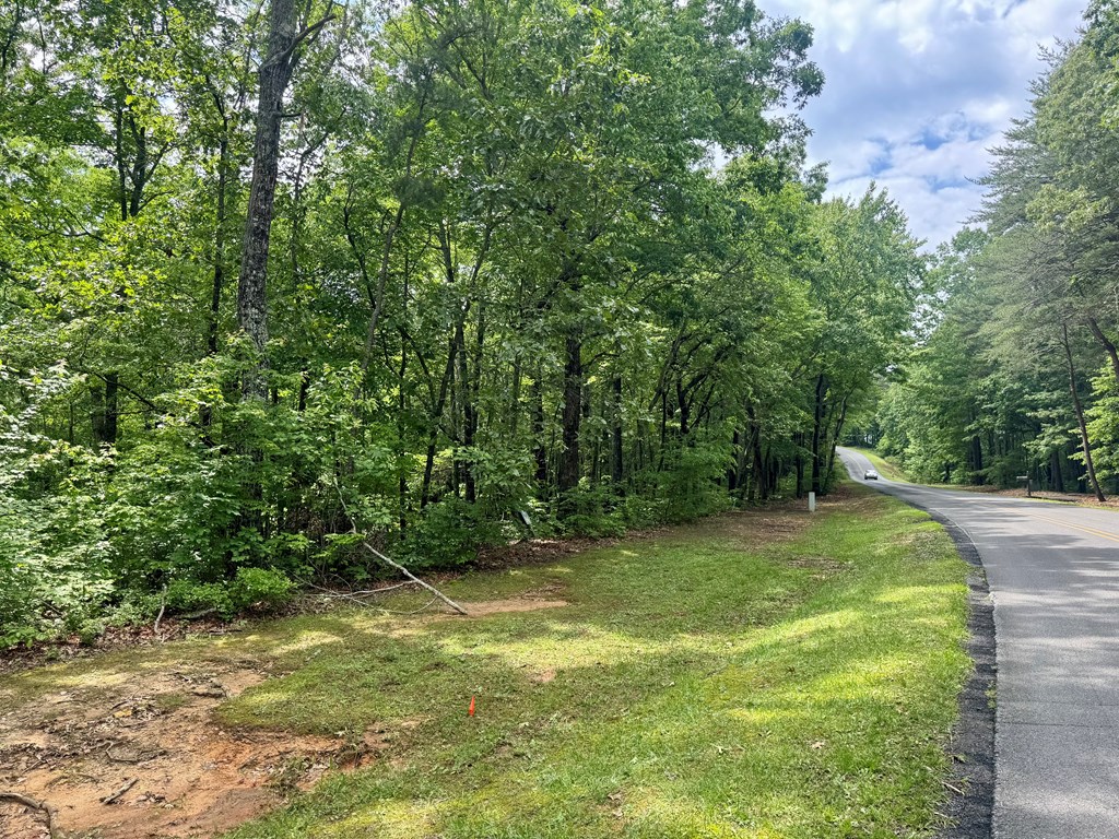 Lot 94 Doll Mountain Road Property Photo 5