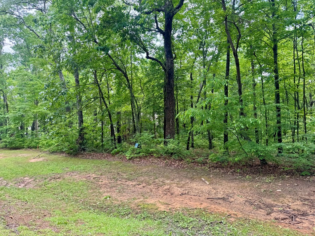 Lot 94 Doll Mountain Road Property Photo 6