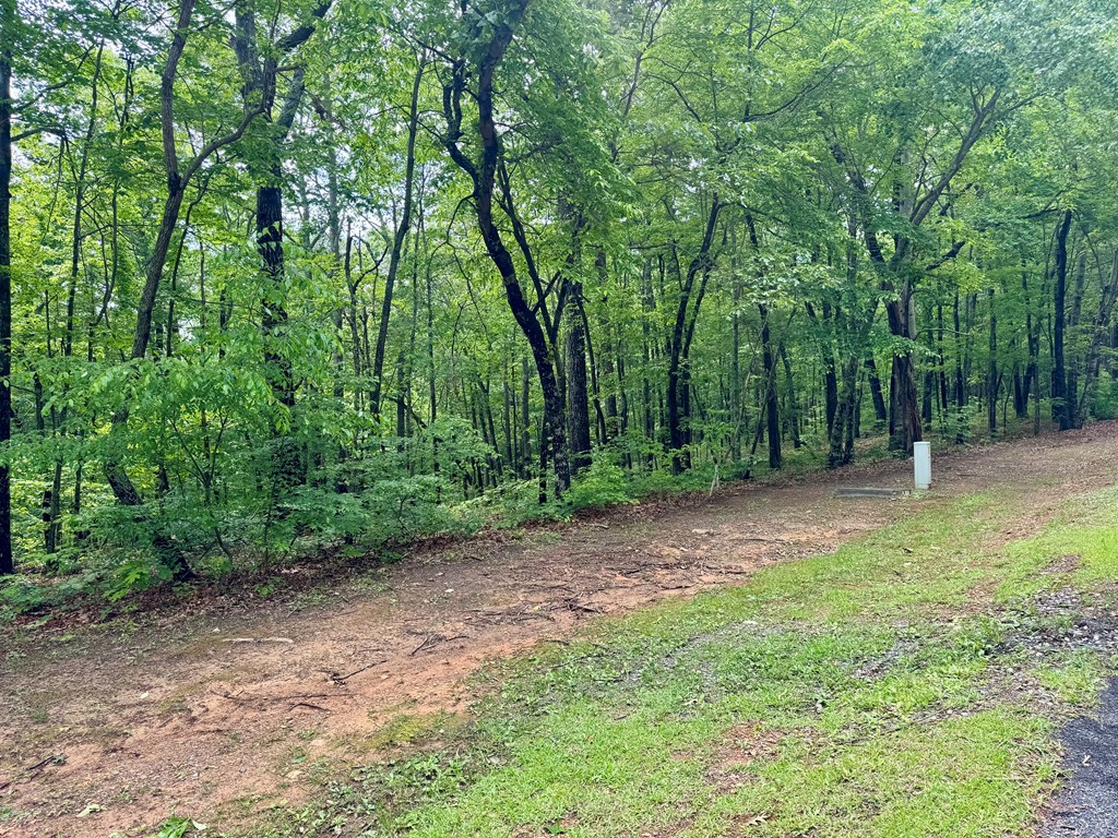 Lot 94 Doll Mountain Road Property Photo 7