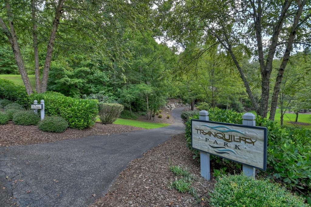 Lot 94 Doll Mountain Road Property Photo 11