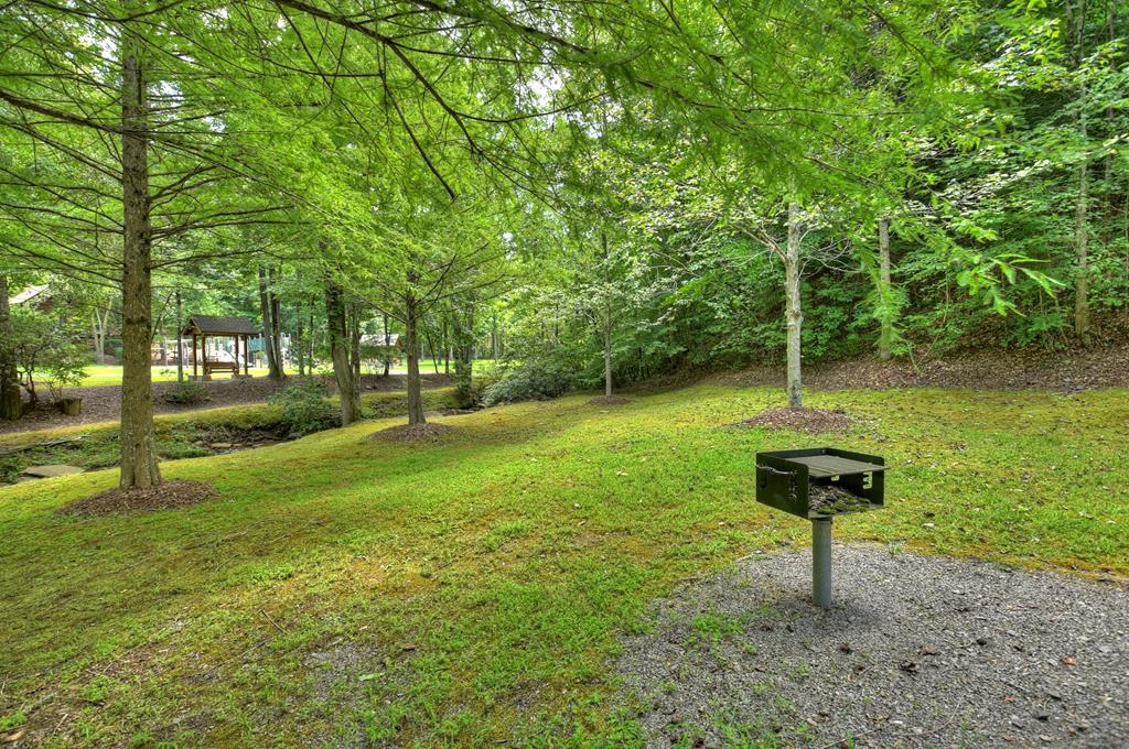Lot 94 Doll Mountain Road Property Photo 17