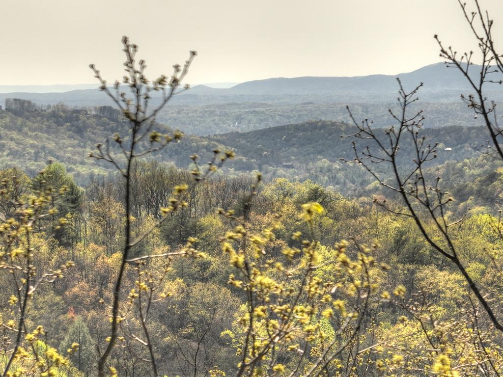 Lot 4 Wilderness Way Property Photo 1