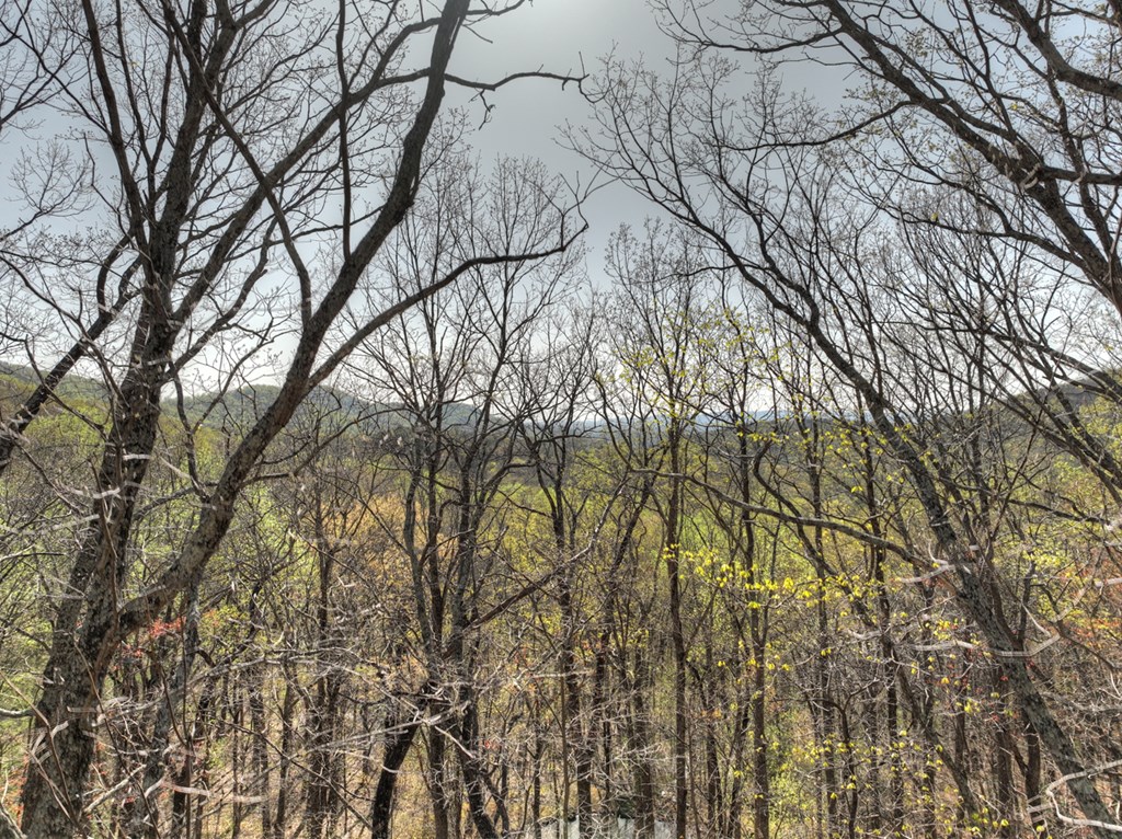 Lot 4 Wilderness Way Property Photo 3