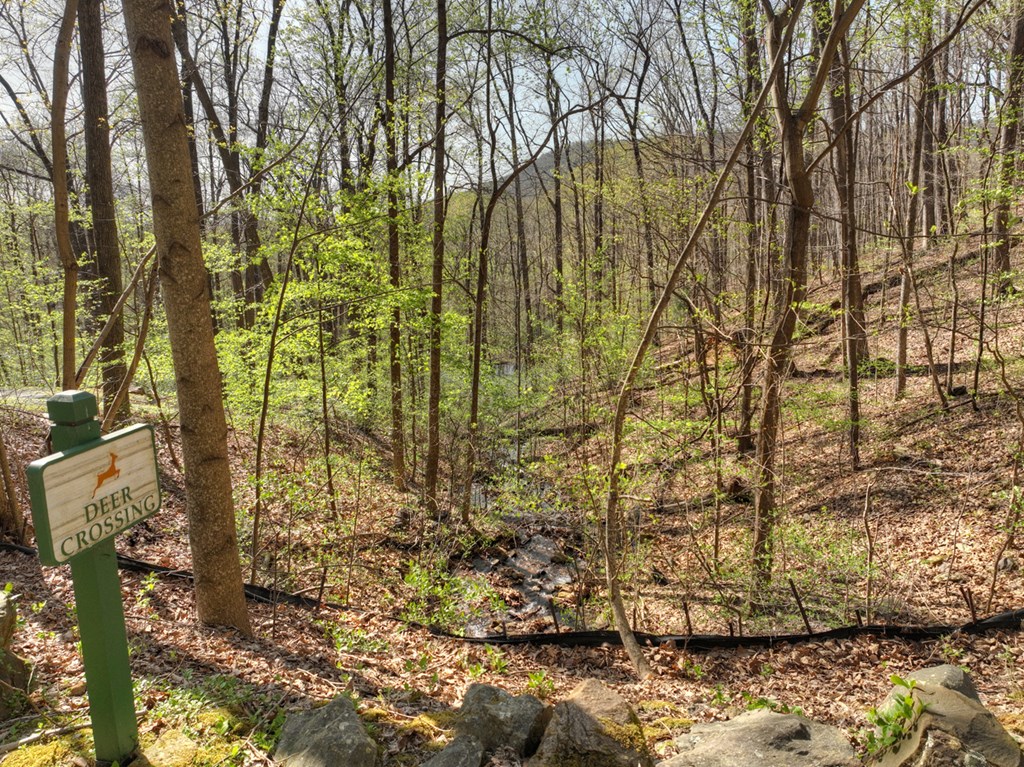 Lot 4 Wilderness Way Property Photo 7