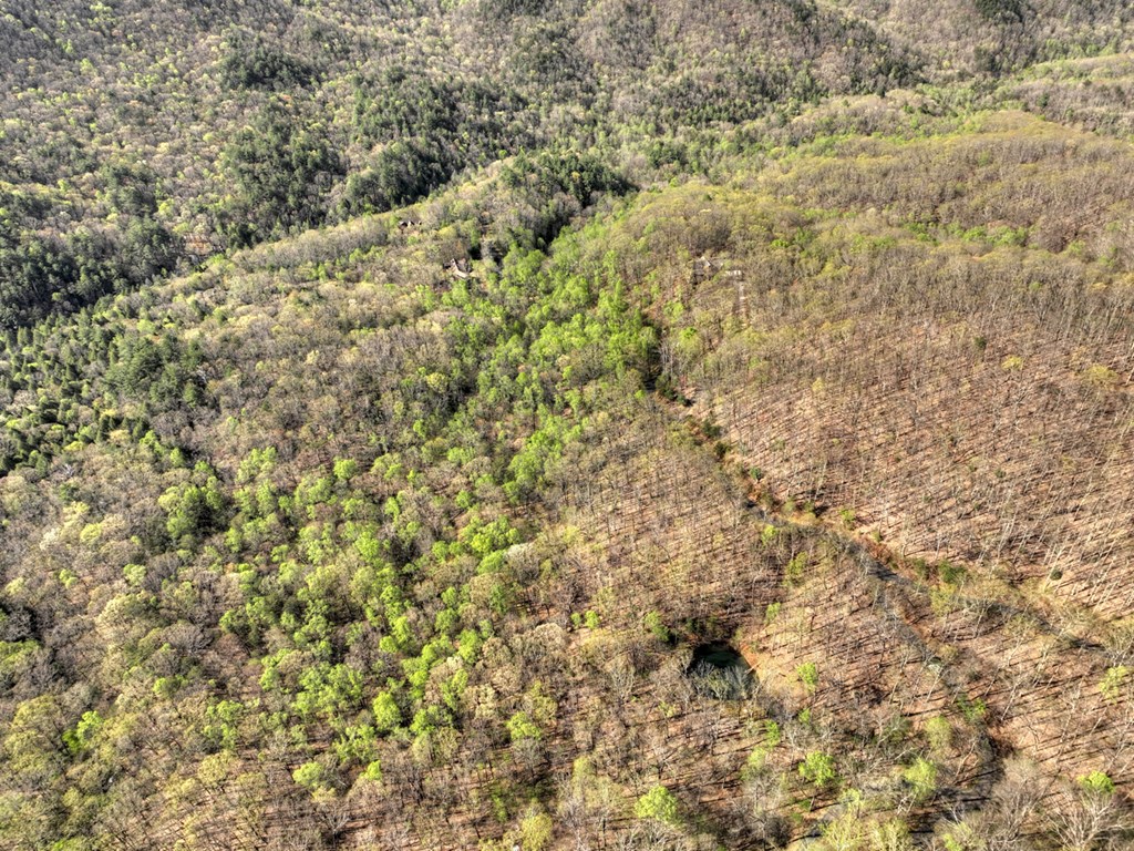 Lot 4 Wilderness Way Property Photo 9
