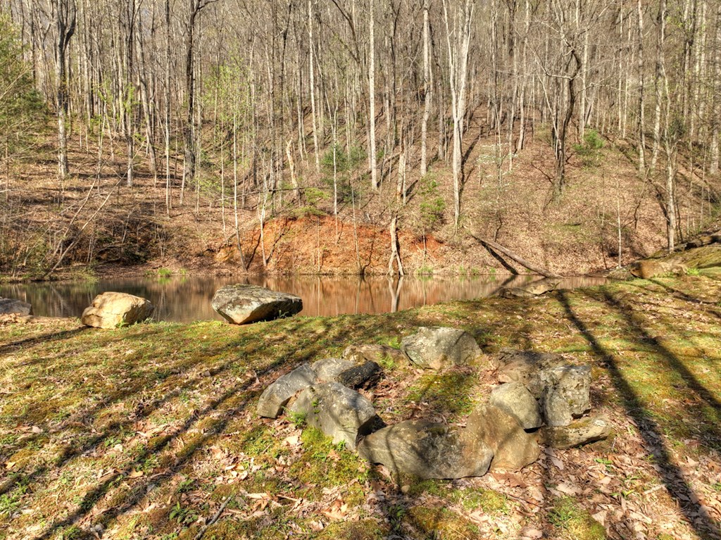 Lot 4 Wilderness Way Property Photo 11