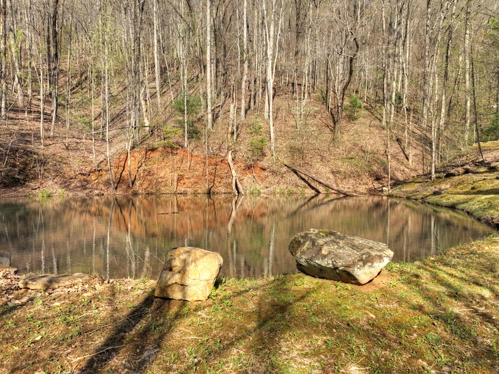 Lot 4 Wilderness Way Property Photo 12