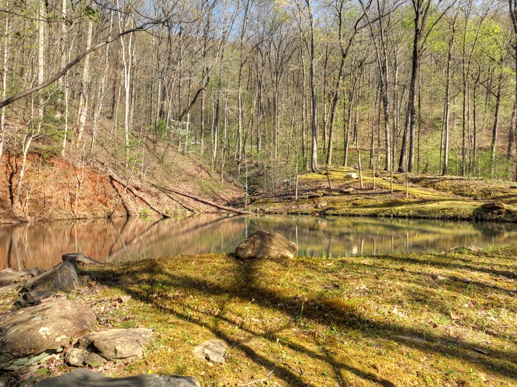 Lot 4 Wilderness Way Property Photo 13