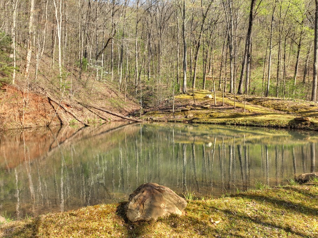 Lot 4 Wilderness Way Property Photo 14