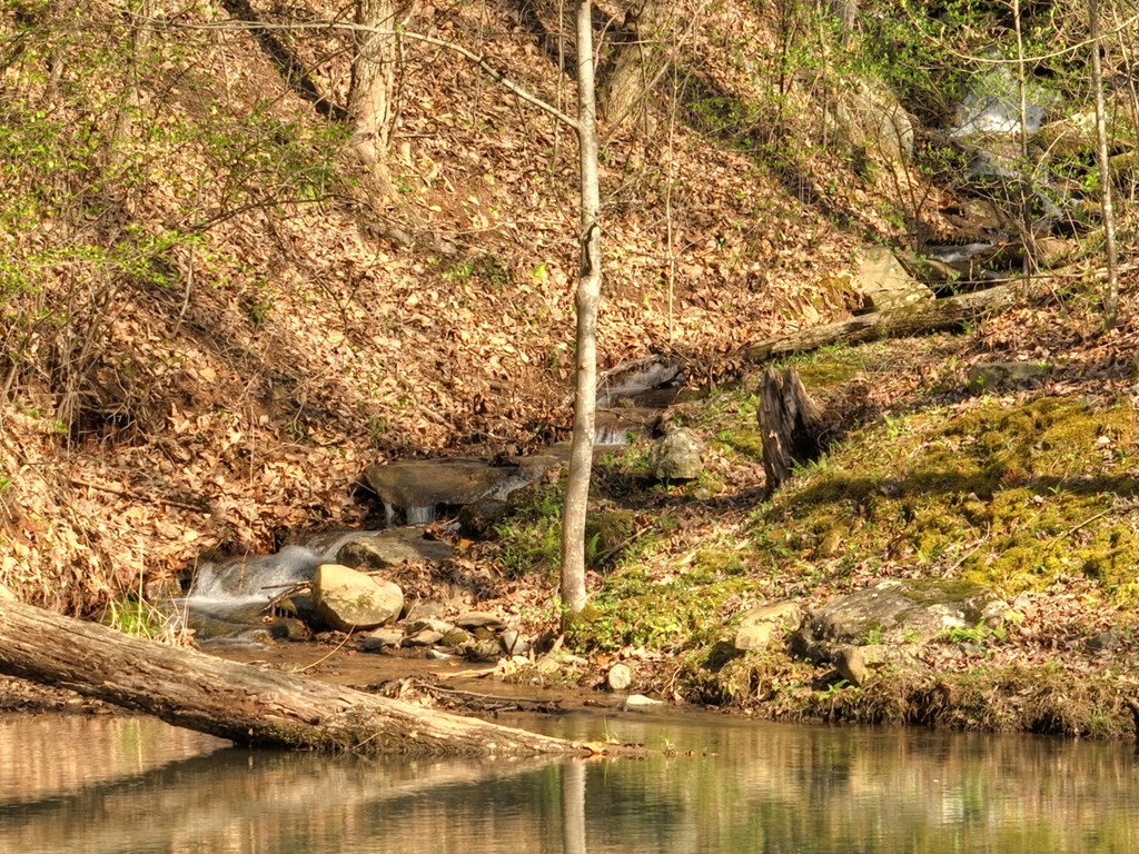 Lot 4 Wilderness Way Property Photo 15
