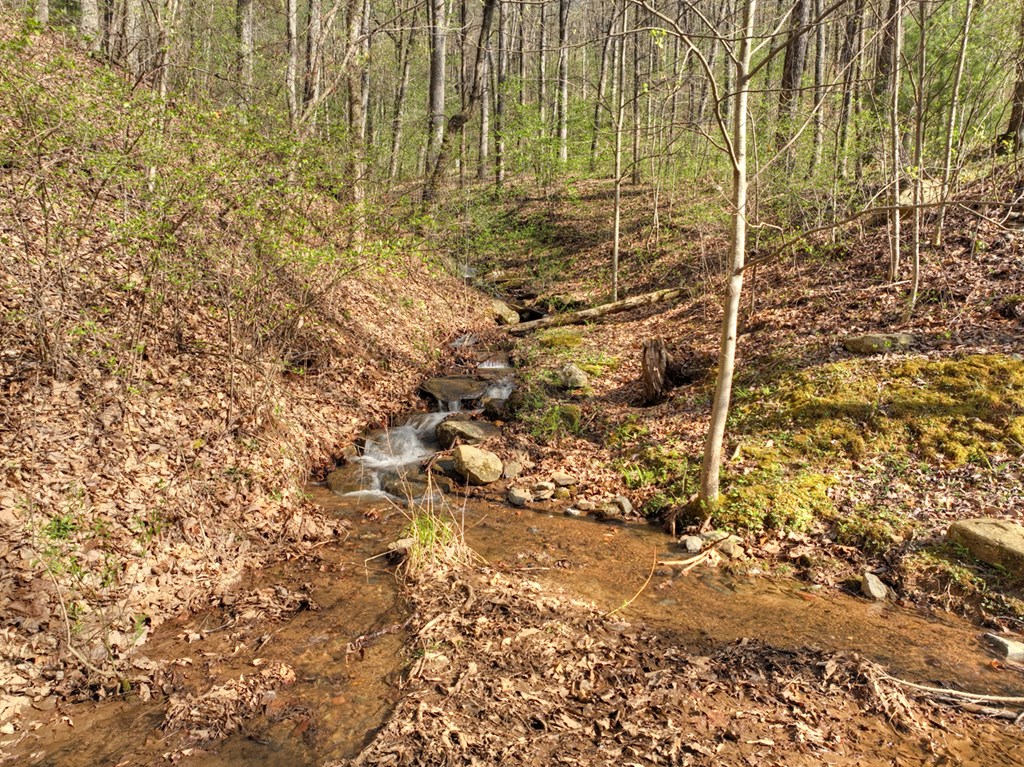 Lot 4 Wilderness Way Property Photo 16