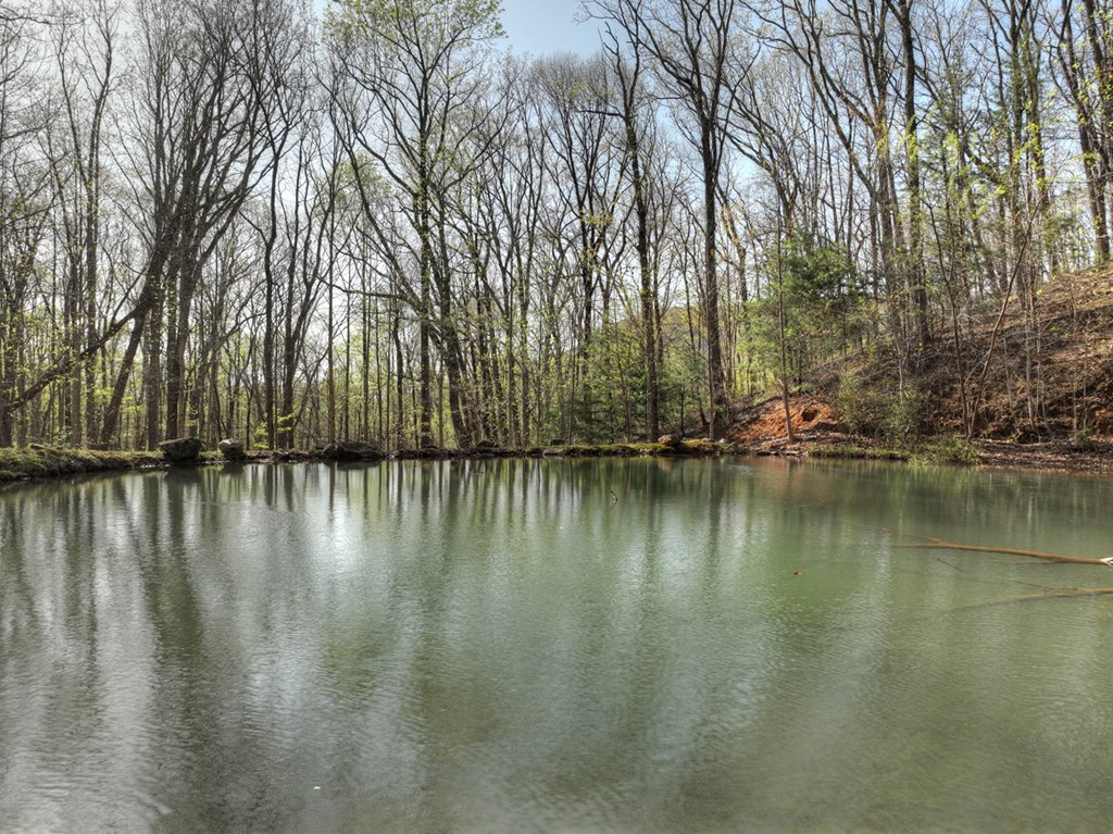 Lot 4 Wilderness Way Property Photo 18