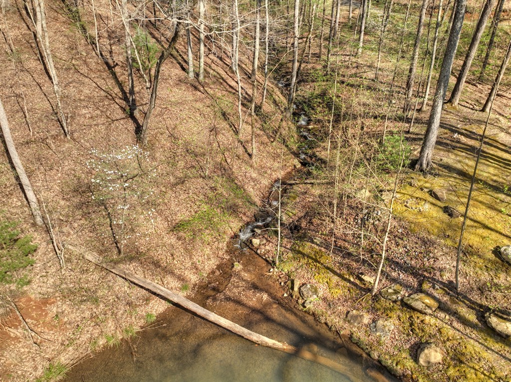 Lot 4 Wilderness Way Property Photo 19