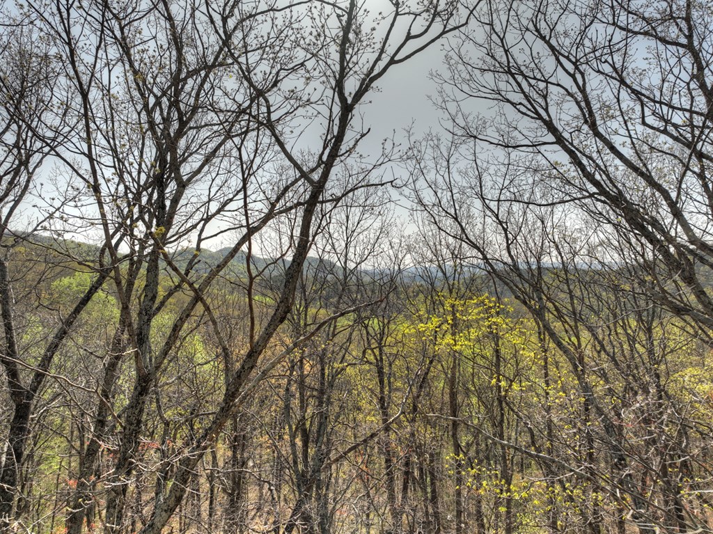 Lot 4 Wilderness Way Property Photo 20