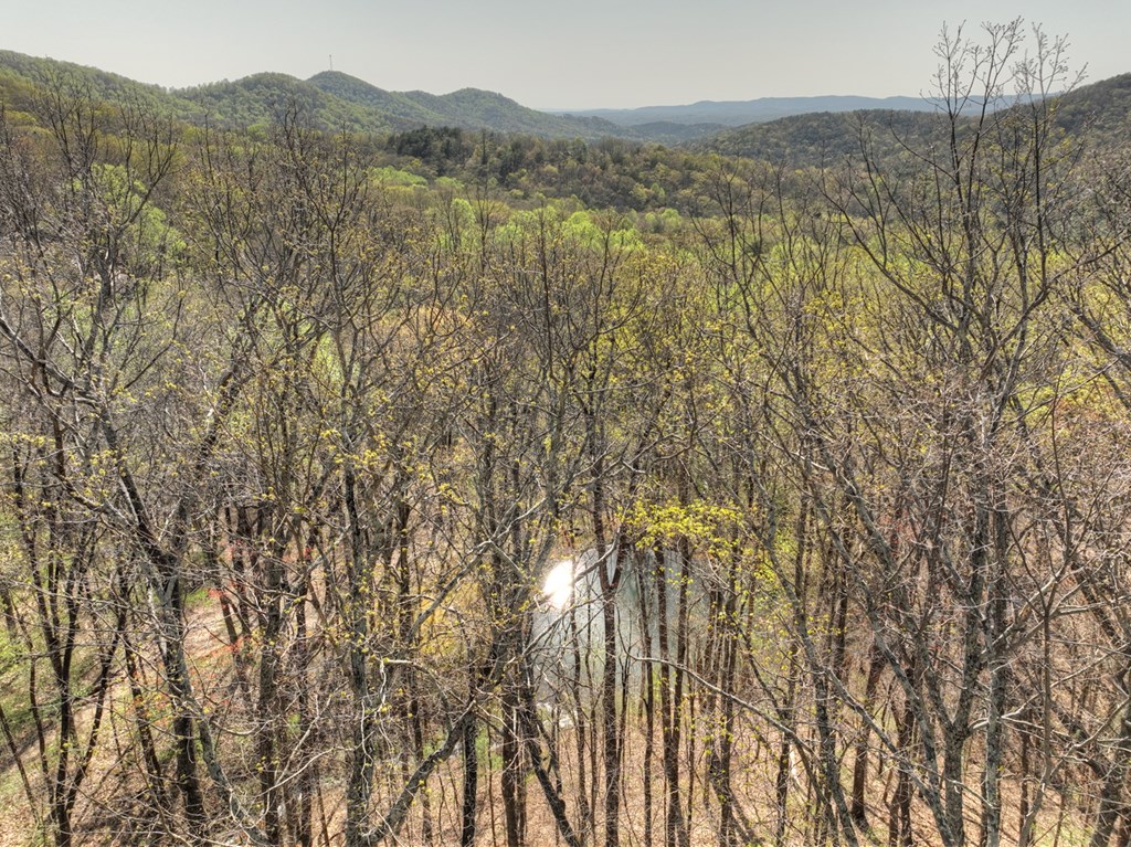 Lot 4 Wilderness Way Property Photo 21
