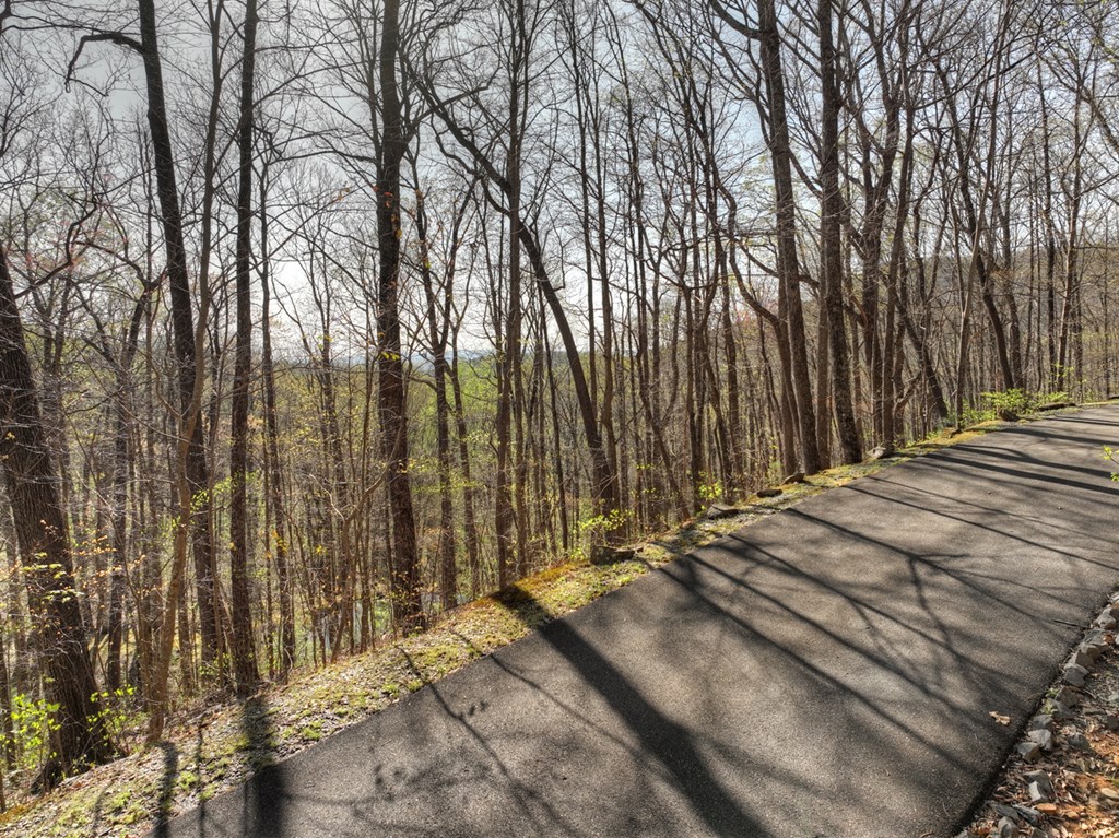 Lot 4 Wilderness Way Property Photo 23