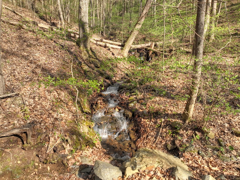 Lot 4 Wilderness Way Property Photo 24