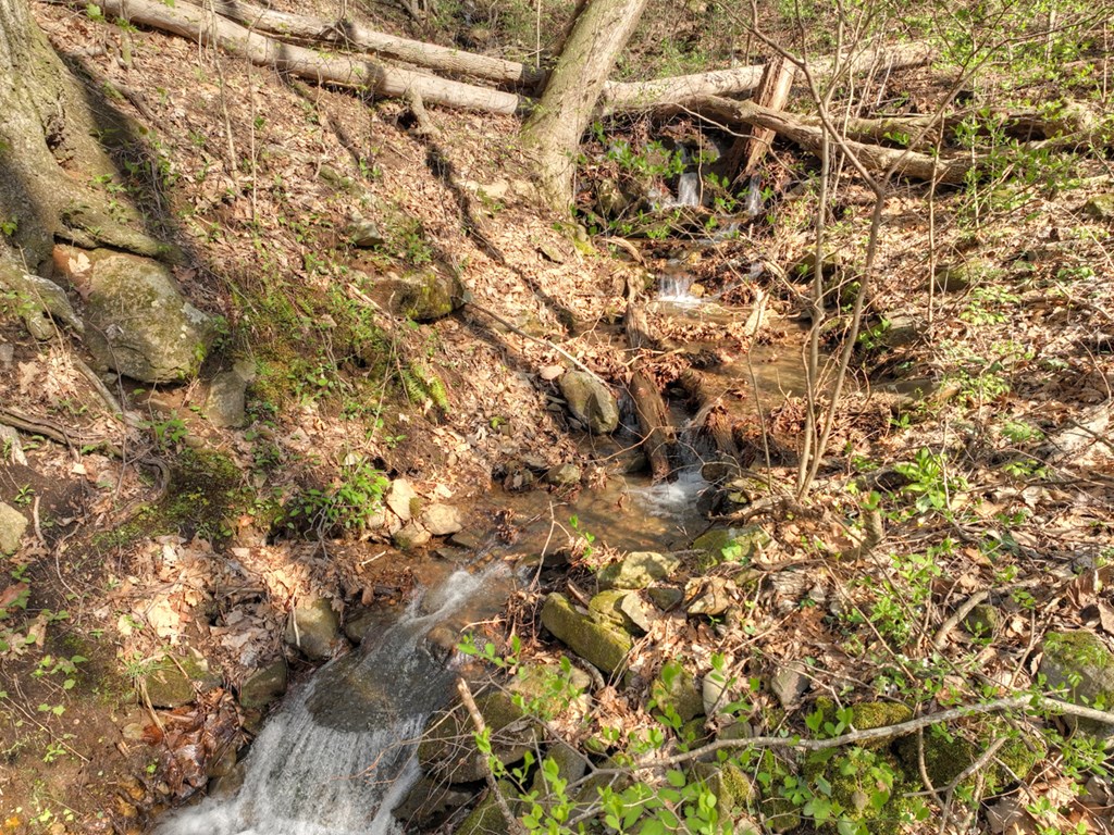 Lot 4 Wilderness Way Property Photo 25