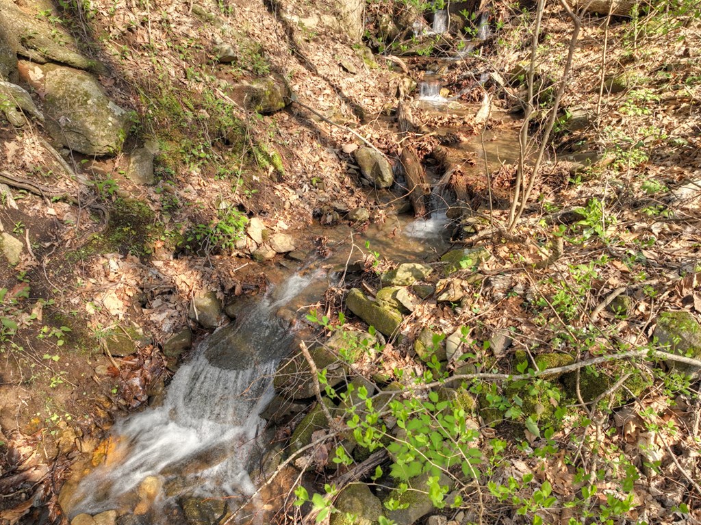 Lot 4 Wilderness Way Property Photo 26