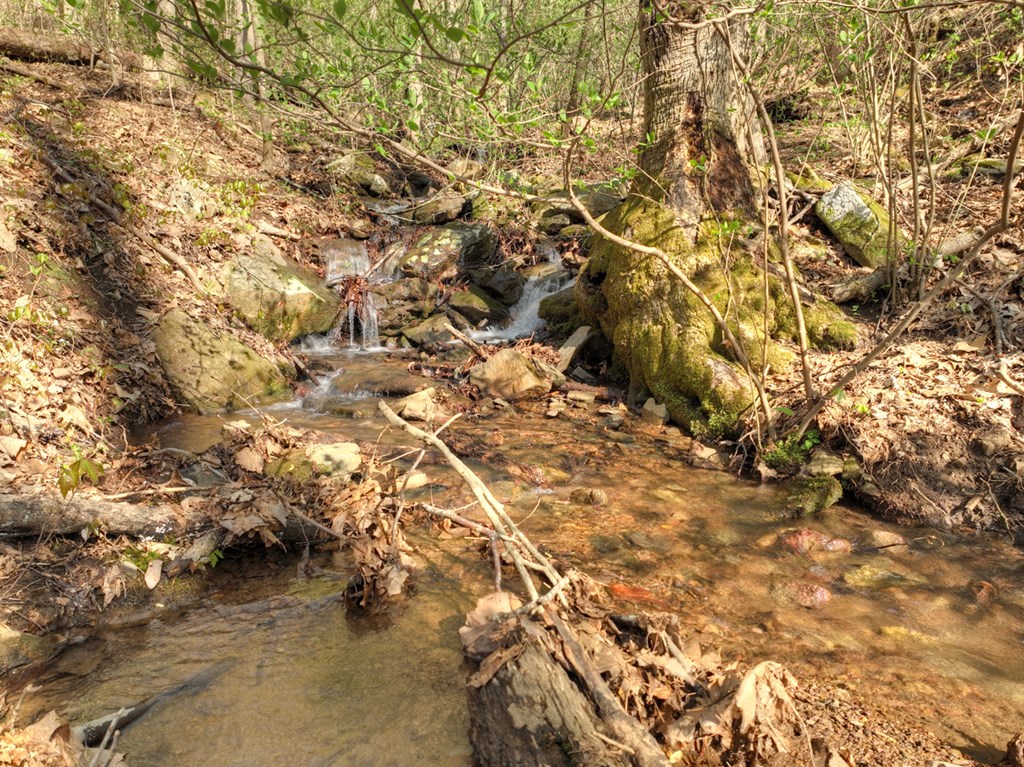 Lot 4 Wilderness Way Property Photo 27