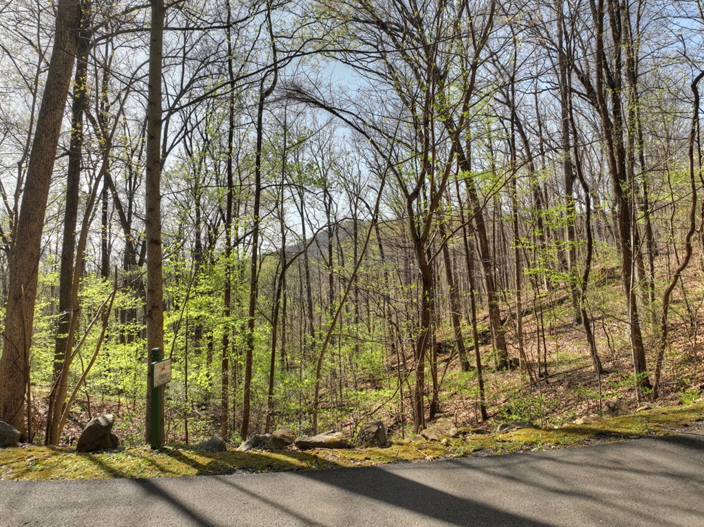 Lot 4 Wilderness Way Property Photo 28