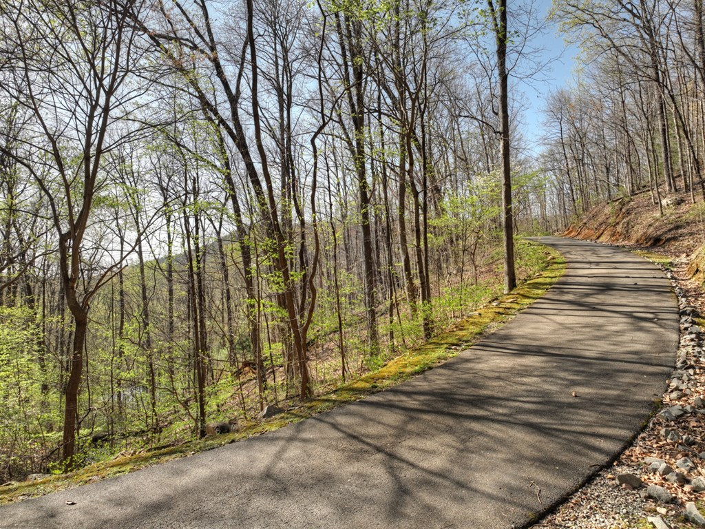 Lot 4 Wilderness Way Property Photo 29