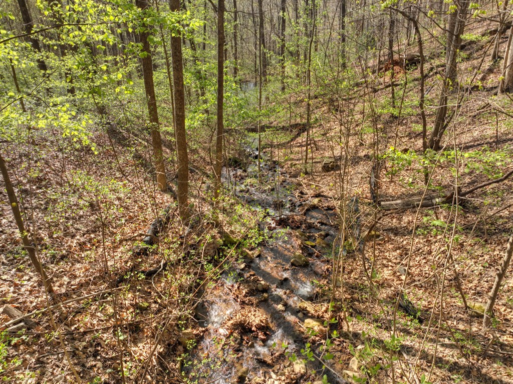 Lot 4 Wilderness Way Property Photo 30