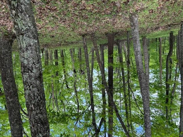 Lot 251 Owl Ridge Way Property Photo 9