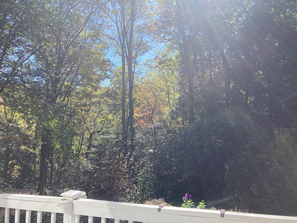 9 Black Bear Mountain Trail Property Photo 8