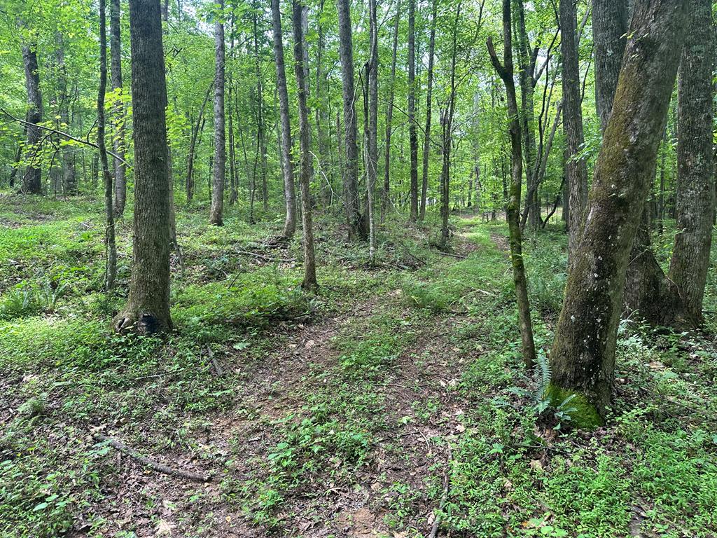 225 Ne Deer Hollow Trail Property Photo 75