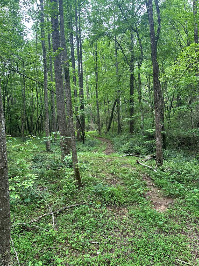 225 Ne Deer Hollow Trail Property Photo 77