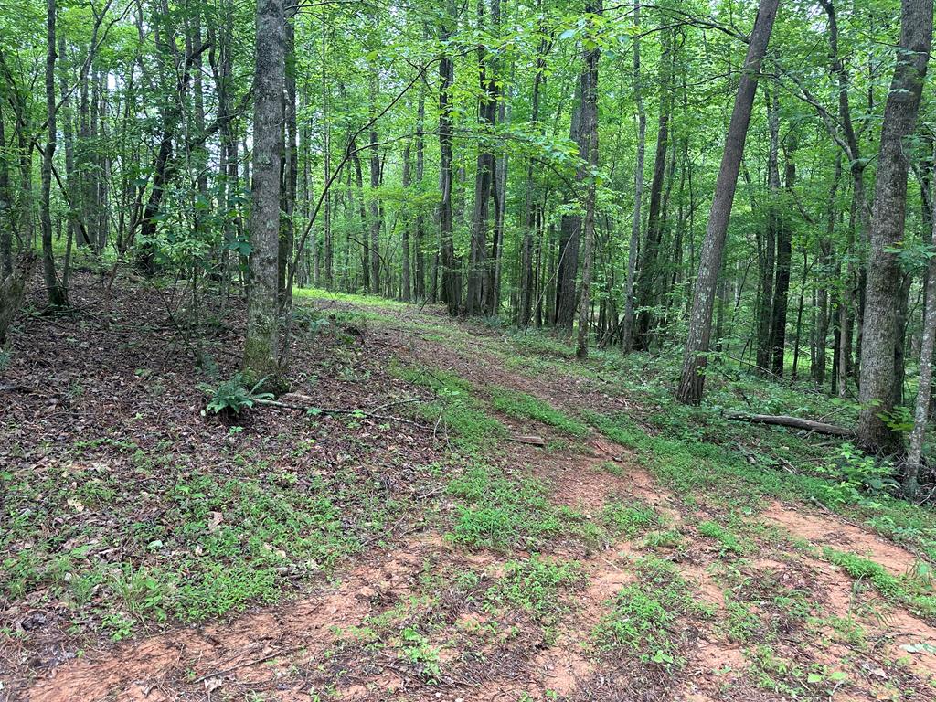 225 Ne Deer Hollow Trail Property Photo 81