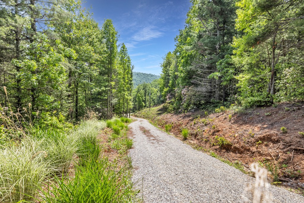 376 Eagles Rest Property Photo 8