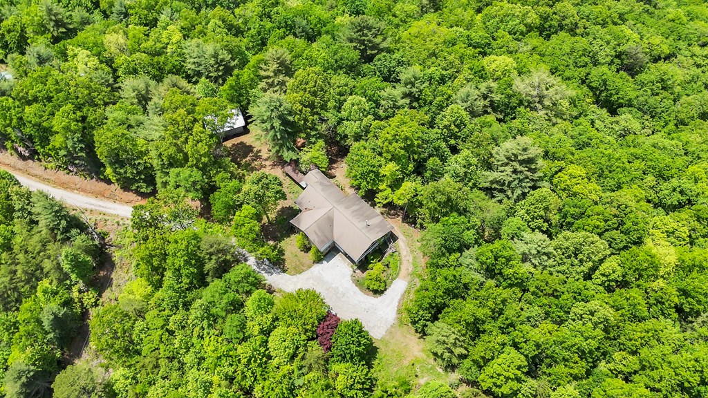 376 Eagles Rest Property Photo 15